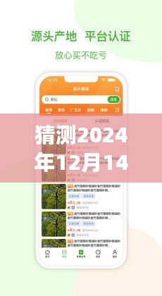 猜测2024年12月14日新奥最快最准免费资料：不可忽视的领先者，洞察未知的钥匙