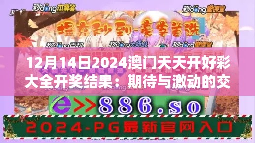 12月14日2024澳门天天开好彩大全开奖结果：期待与激动的交织