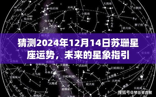 苏珊星座运势预测，揭秘未来星象指引下的苏珊星座运势展望（2024年12月14日）