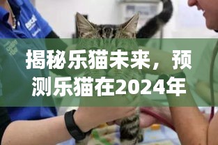 揭秘乐猫未来，最新发展预测报告（乐猫在XXXX年最新动态）