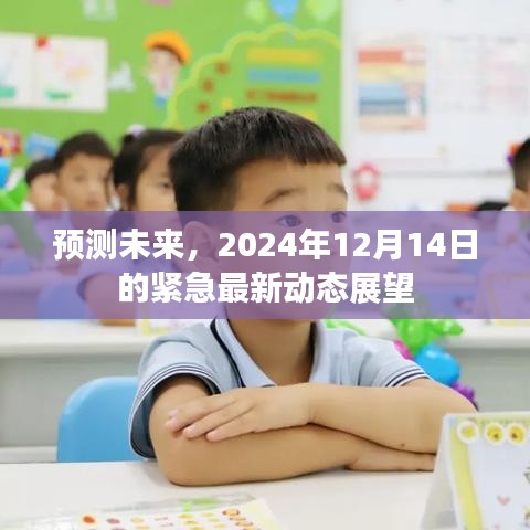 未来展望，紧急最新动态预测报告（2024年12月14日）