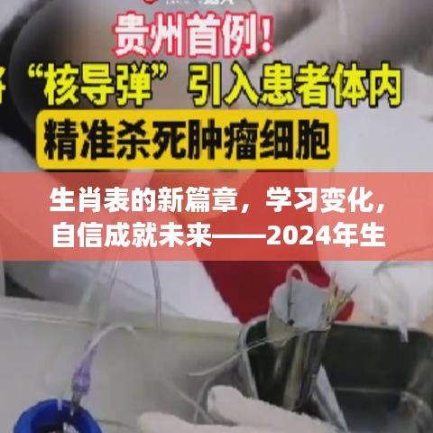 生肖新纪元启示，学习变化，自信塑造未来——生肖表新篇章下的鼓舞人心启示（2024年）