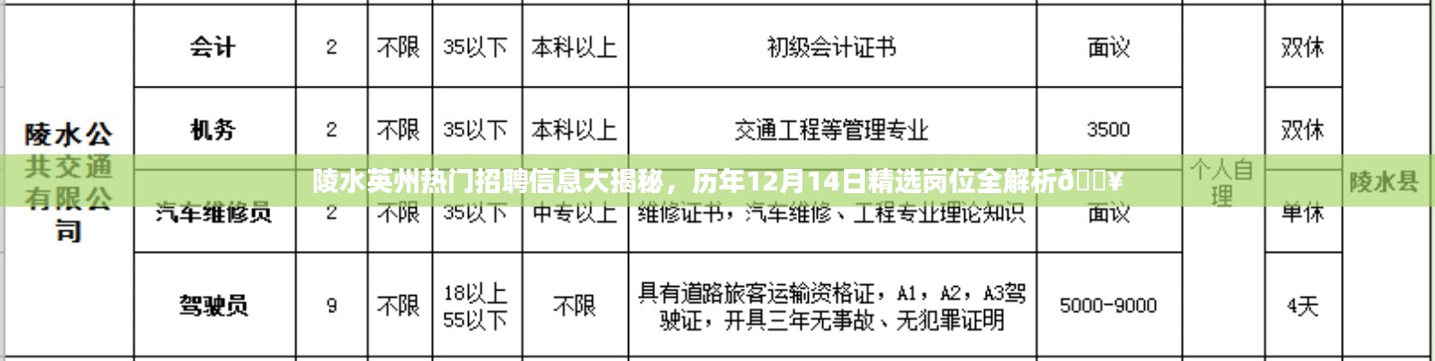 2024年12月15日 第22页