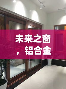 铝合金门窗之旅，未来之窗的梦幻时光探索