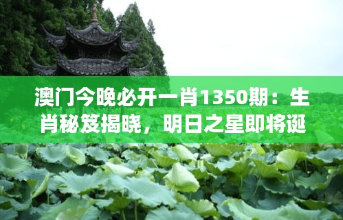 澳门今晚必开一肖1350期：生肖秘笈揭晓，明日之星即将诞生