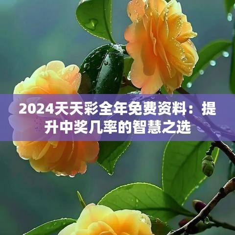 2024天天彩全年免费资料：提升中奖几率的智慧之选