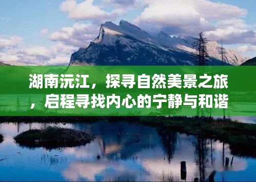 2024年12月15日 第9页