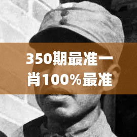 350期最准一肖100%最准的资料,绝对经典解释落实_2DM4.669