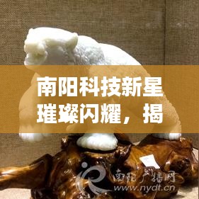 南阳科技新星重塑生活体验，揭秘高科技产品如何引领变革