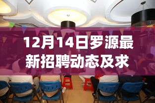 罗源最新招聘动态与求职指南（12月14日更新）