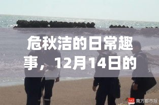 危秋洁，温馨冬日的日常趣事（12月14日）