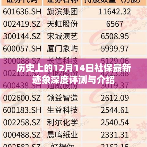 12月14日社保最新动态深度解析与介绍