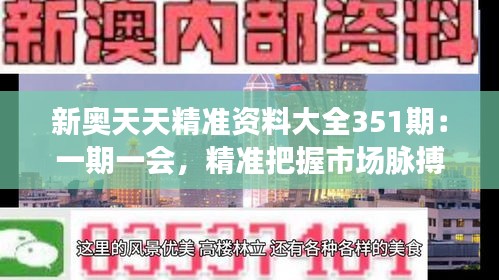 新奥天天精准资料大全351期：一期一会，精准把握市场脉搏