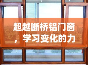 超越断桥铝门窗，拥抱变革力量，塑造自信未来——2024年的启示