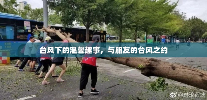 台风之下的温馨趣事与友情之约