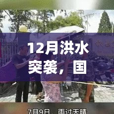 国内热点事件回顾，洪水突袭下的时代印记