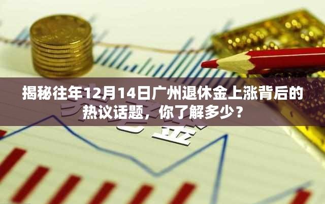 2024年12月16日 第8页