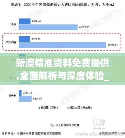 新澳精准资料免费提供,全面解析与深度体验_PalmOS13.899