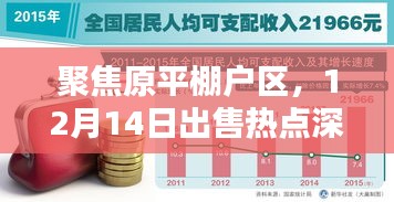 原平棚户区热点深度解析，12月14日出售焦点关注