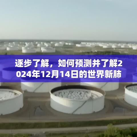 逐步了解，预测并了解世界新肺炎最新通报（2024年12月14日更新）