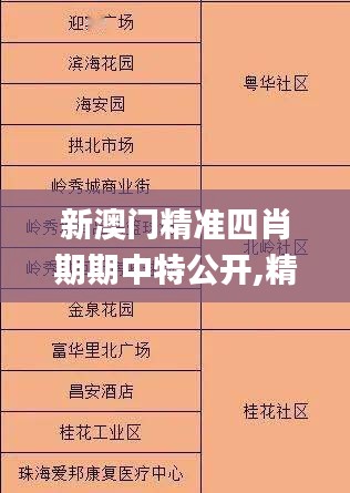 新澳门精准四肖期期中特公开,精细定义探讨_FT2.614