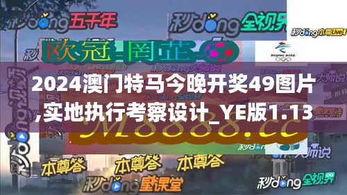 2024澳门特马今晚开奖49图片,实地执行考察设计_YE版1.130