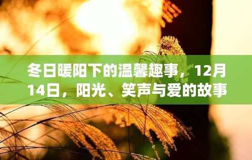 冬日暖阳下的温馨趣事，阳光、笑声与爱的故事，12月14日记录