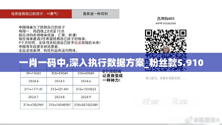 一肖一码中,深入执行数据方案_粉丝款5.910