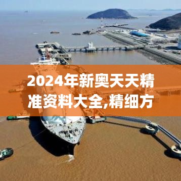 2024年新奥天天精准资料大全,精细方案实施_Premium2.662