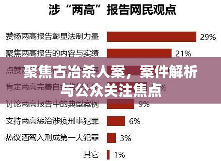 古冶杀人案深度解析，案件进展与公众关注焦点