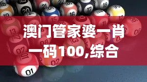 澳门管家婆一肖一码100,综合评估解析说明_战略版6.116