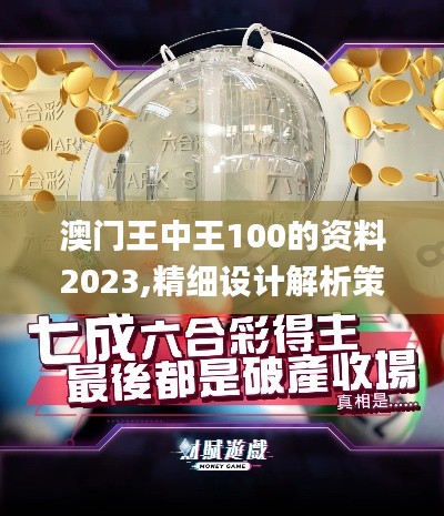 澳门王中王100的资料2023,精细设计解析策略_WP19.864