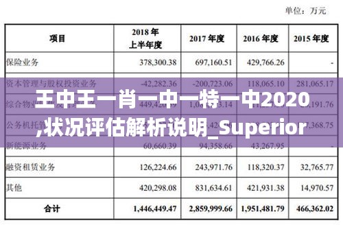 王中王一肖一中一特一中2020,状况评估解析说明_Superior5.634