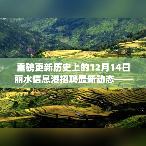 丽水信息港招聘重磅更新，职场福音时刻——历史上的十二月十四日最新动态