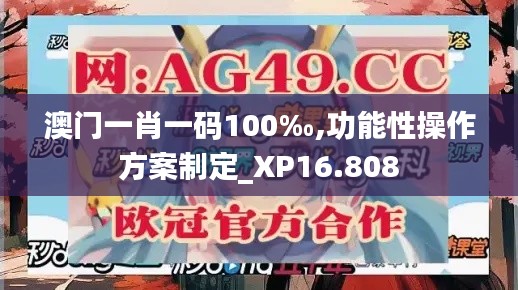 澳门一肖一码100‰,功能性操作方案制定_XP16.808