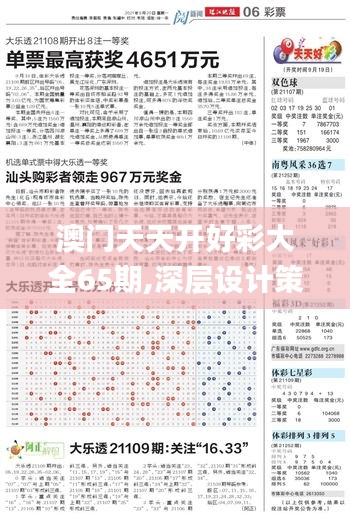 澳门天天开好彩大全65期,深层设计策略数据_完整版9.638