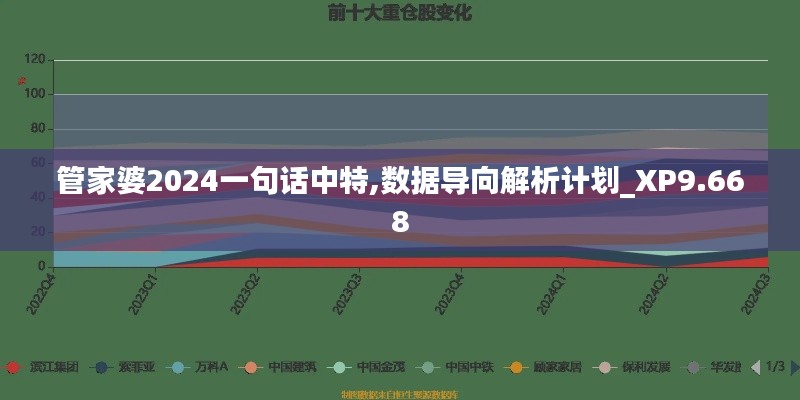 管家婆2024一句话中特,数据导向解析计划_XP9.668