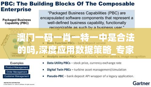 澳门一码一肖一特一中是合法的吗,深度应用数据策略_专家版6.453