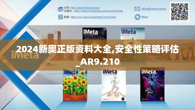 2024新奥正版资料大全,安全性策略评估_AR9.210