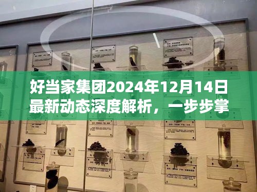 好当家集团最新动态深度解析，掌握关键信息，洞悉未来趋势（2024年12月14日）