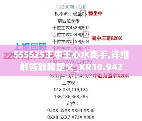 555525王中王心水高手,详细解答解释定义_XR10.942