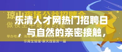 乐清人才网招聘日，探寻内心宁静之旅，与自然亲密接触