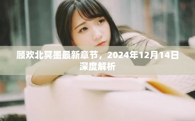 顾欢北冥墨最新章节深度解析，2024年12月14日展望