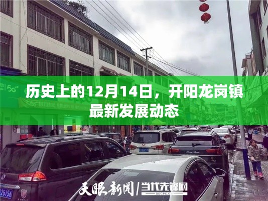 开阳龙岗镇最新发展动态，历史视角下的12月14日进展报告