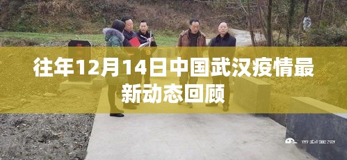 武汉疫情最新动态回顾，历年十二月十四日回顾