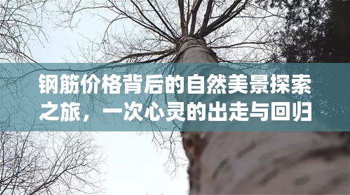 钢筋价格背后的自然美景探索之旅，心灵出走与回归之旅