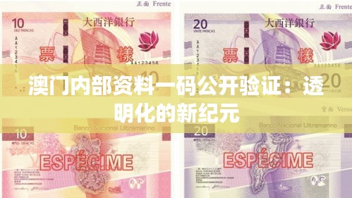 澳门内部资料一码公开验证：透明化的新纪元