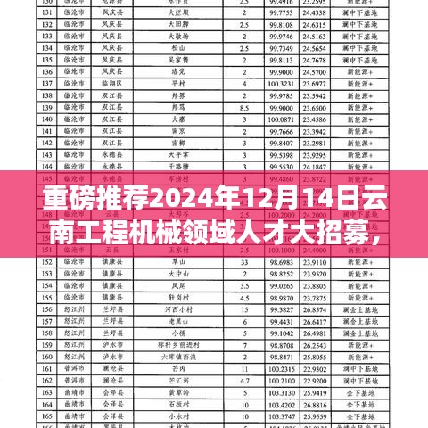 2024年12月17日 第2页