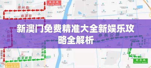 新澳门免费精准大全新娱乐攻略全解析