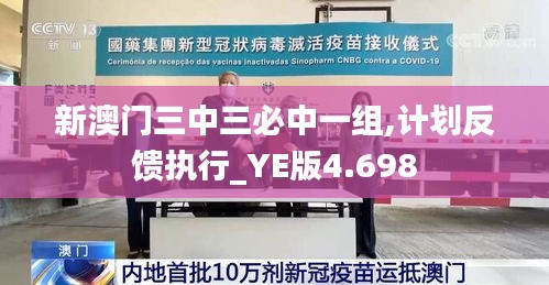 新澳门三中三必中一组,计划反馈执行_YE版4.698